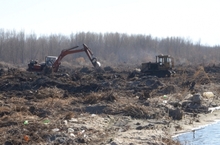 Մեկնարկել են Սևանա լճի ափամերձ և ջրածածկման ենթակա անտառաշերտի մաքրման աշխատանքները