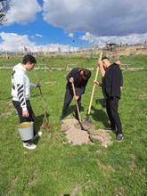 Գեղարքունիքի մարզում ակտիվորեն ընթանում է ծառատունկ